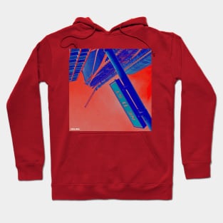 miami in da red street photo collage art lights Hoodie